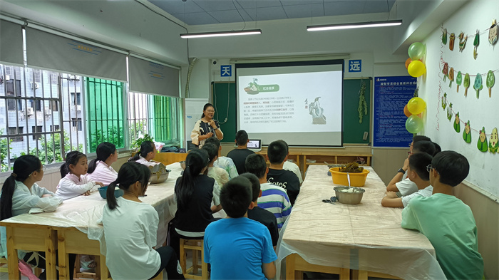 语文组端午节活动《端午粽动员》